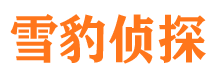 岳池侦探